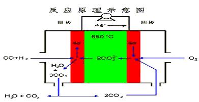 熔融碳酸盐燃料电池