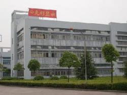 绍兴光彩显示技术有限公司