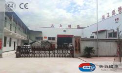东阳市天力磁电有限公司
