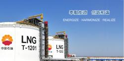 中国石油天然气股份有限公司天然气销售西部分公司