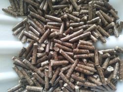 东莞市广益生物能源有限公司