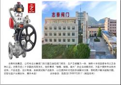 志泰科技集团有限公司
