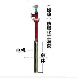 天津加码电潜泵有限责任公司
