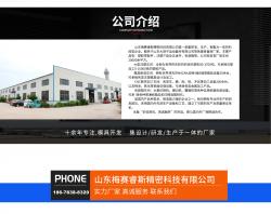 山东梅赛睿斯精密科技有限公司