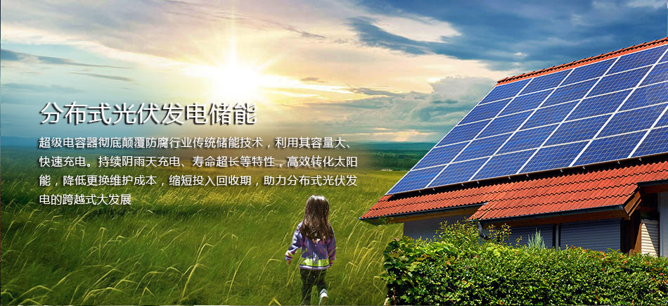 世界生产力科学院院士姜鸿树:超级电容的应用