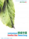 绿威(中国)生物质能源有限公司宣传册