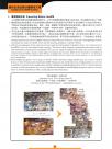 分拣解决方案1