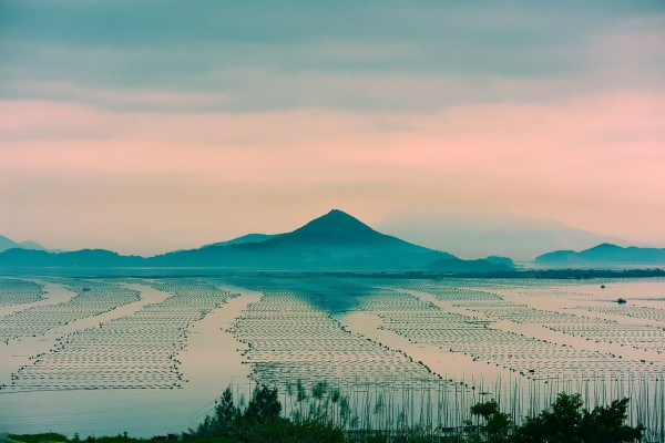 綠氫3萬噸/年，氫基綠色燃料10萬噸/年，《福建省