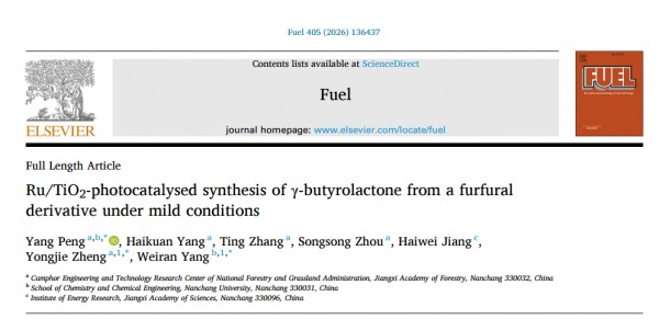 江西省林科院樟树团队在光催化生物质转化领域取得新突破