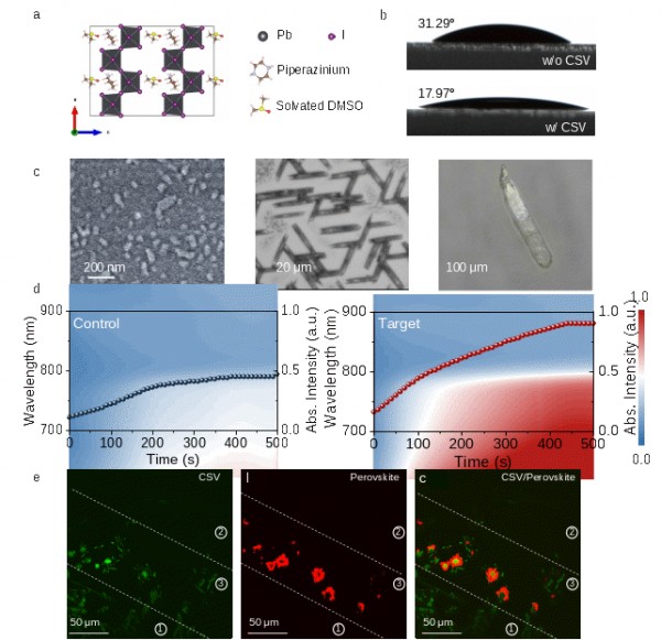 研究开发兼具通用性与可扩展性的钙钛矿结晶调控新策略