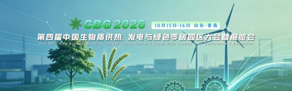 迈向'新质生产力'：政策赋能与产业协同下的生物质