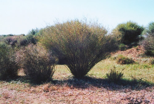 港澳通行证_港澳人均收入超法国(3)