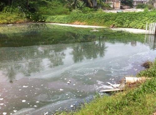 海南一胶厂胡乱排放废气废水严重污染环境_新