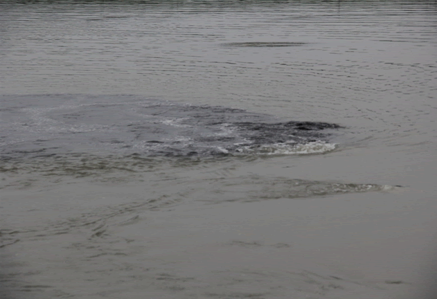江苏沭阳沂北污水处理厂的高明偷排_新能源资
