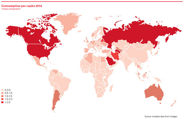 汽车燃料消耗量标识_人均燃气消耗量(3)