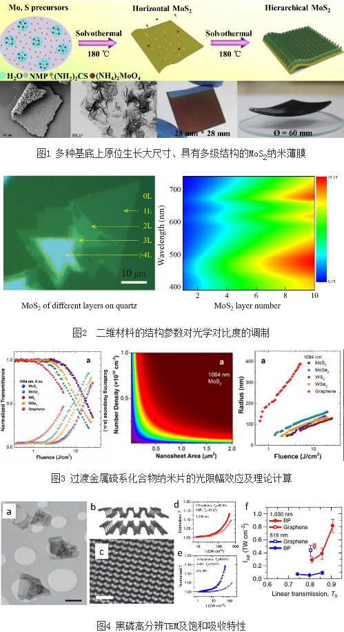 上海光机所二维半导体制备及非线性光学特性研
