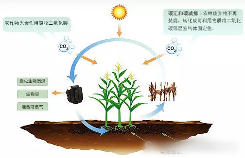 生物炭常见问题解答