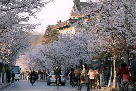 最全南京展攻略来了!吃住行游购娱一网打尽(图9)
