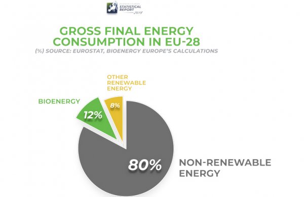 太阳能安装工程生物质能源可以满足所有28个欧盟成员国45天的需求