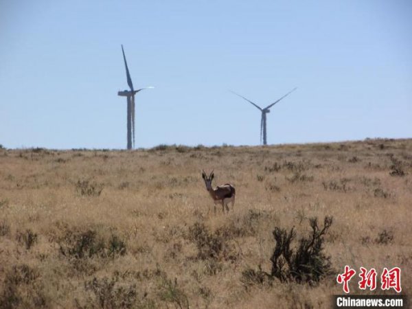 央企南非风电项目已为当地输送近20亿千瓦时电能
