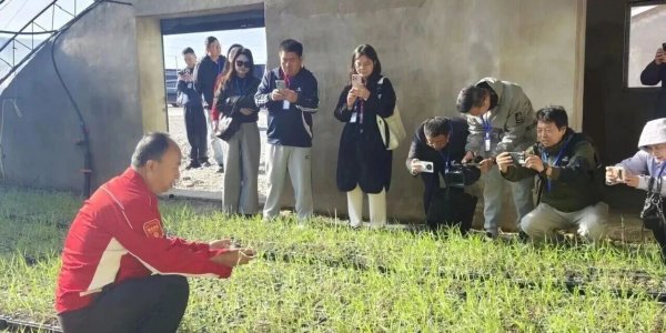 培育天津生物质制造新质生产力--瑞恒茂集团媒体开放日展示芦竹全产业链循环经济闭环(图2)