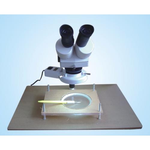 LED刺晶显微镜座