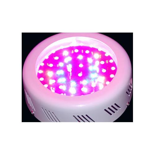 水稻专用LED植物补光灯生长灯