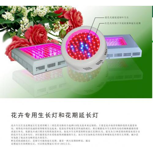 兰花专用LED植物补光灯