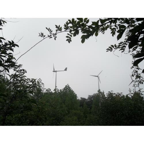 风力发电机（水平轴）