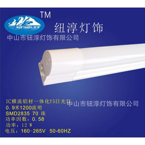 T5一体化LED灯管