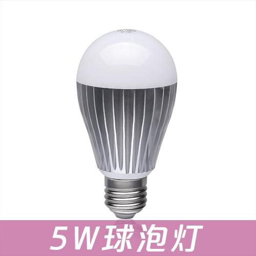 5W球泡灯