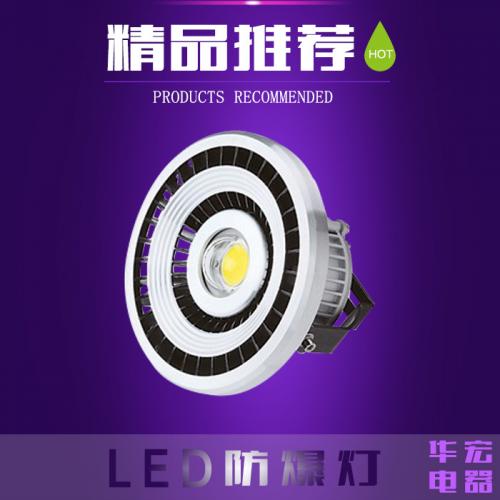 LED防爆灯