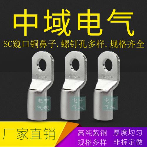 SC(JGK)窥口铜鼻子