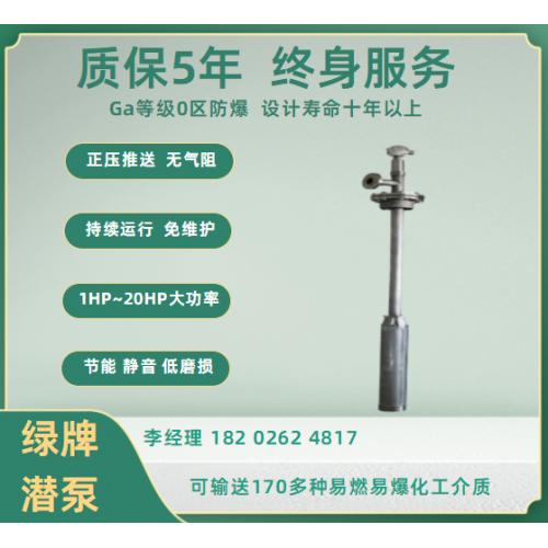 三乙胺防爆化工潜泵