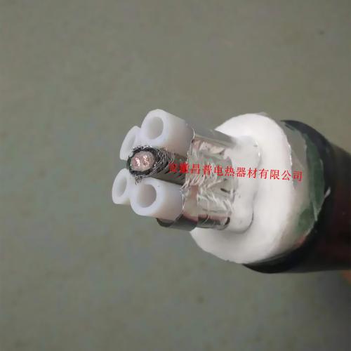 在线监测取样管