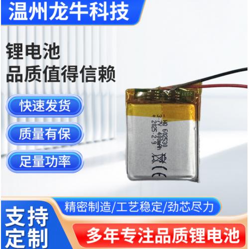 聚合物锂电池