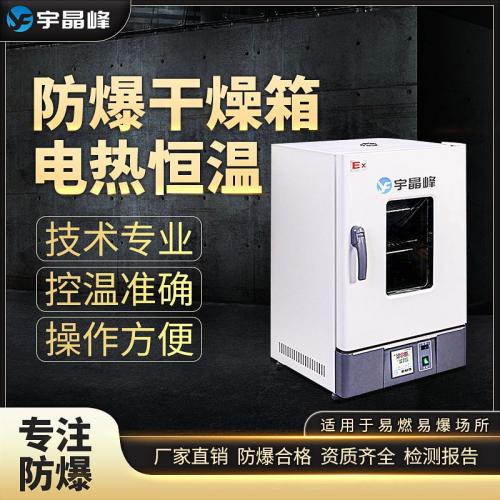 防爆电热恒温干燥箱