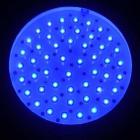 LED蓝莓专用灯 专业水果生长灯