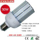 LED 30W 玉米灯