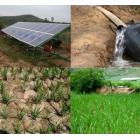 农业灌溉太阳能水泵