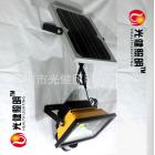 太阳能人体感应庭院灯