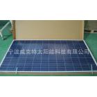 多晶300W太阳能电池板