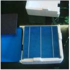 310W多晶硅太阳能电池板