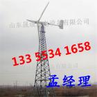 風力發電機 [德州藍潤新能源科技有限公司 13355341658]