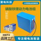 磷酸铁锂 动力电池组