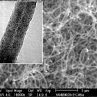 导电纳米碳纤维